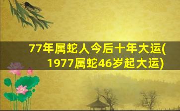 77年属蛇人今后十年大运