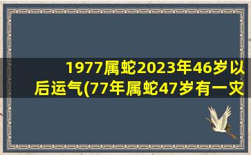 1977属蛇2023年46岁以后运气