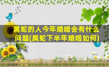 属蛇的人今年婚姻会有什么问题(属蛇下半年婚姻如何)