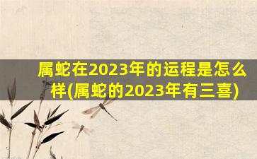 属蛇在2023年的运程是怎么样(属蛇的2023年有三喜)