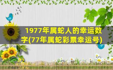 1977年属蛇人的幸运数字