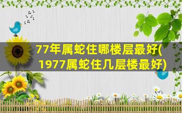 <strong>77年属蛇住哪楼层最好</strong>