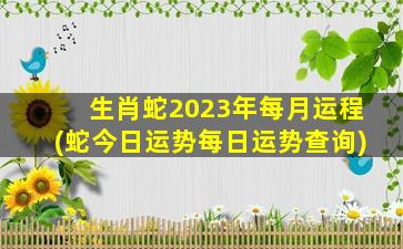 生肖蛇2023年每月运程(蛇