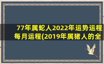 77年属蛇人2022年运势运程每月运程(2019年属猪人的全年运势)