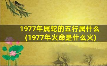 1977年属蛇的五行属什么(1977年火命是什么火)