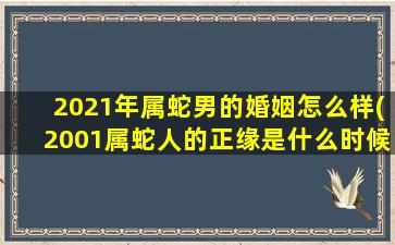 2021年属蛇男的婚姻怎么样(2001属蛇人的正缘是什么时候)