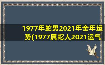 1977年蛇男2021年全年运势