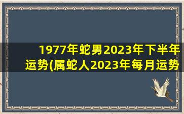 1977年蛇男2023年下半年运势(属蛇人2023年每月运势)