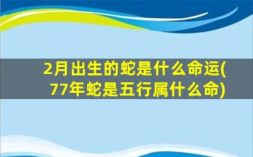 2月出生的蛇是什么命运(77年蛇是五行属什么命)