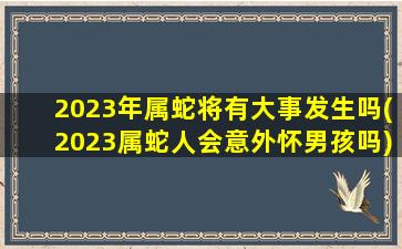 2023年属蛇将有大事发生吗