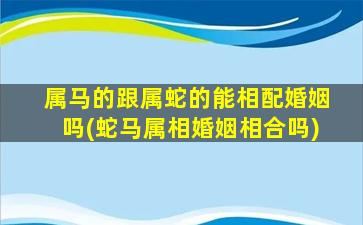 属马的跟属蛇的能相配婚姻吗(蛇马属相婚姻相合吗)