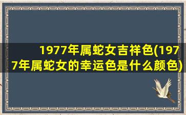 1977年属蛇女吉祥色(1977年属蛇女的幸运色是什么颜色)