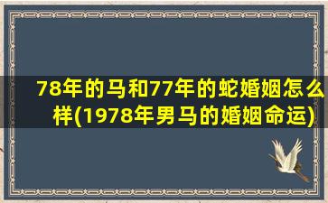 78年的马和77年的蛇婚姻怎