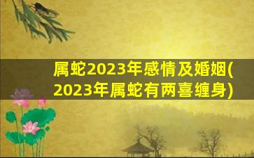 属蛇2023年感情及婚姻(2023年属蛇有两喜缠身)