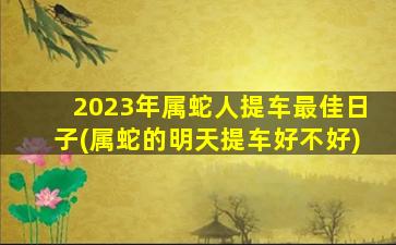 2023年属蛇人提车最佳日子(属蛇的明天提车好不好)