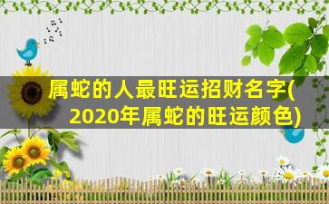 属蛇的人最旺运招财名字(2020年属蛇的旺运颜色)