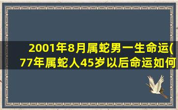 2001年8月属蛇男一生命运(77年属蛇人45岁以后命运如何)