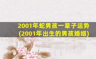 2001年蛇男孩一辈子运势(2001年出生的男孩婚姻)