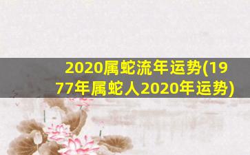 2020属蛇流年运势(1977年属