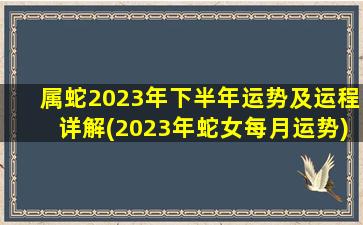 属蛇2023年下半年运势及运