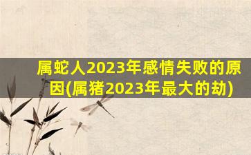 属蛇人2023年感情失败的原因(属猪2023年最大的劫)