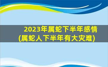 2023年属蛇下半年感情(属蛇人下半年有大灾难)