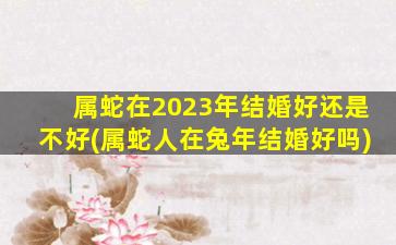 属蛇在2023年结婚好还是不好(属蛇人在兔年结婚好吗)