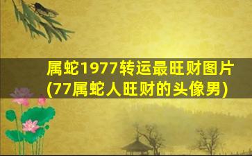 属蛇1977转运最旺财图片(77属蛇人旺财的头像男)