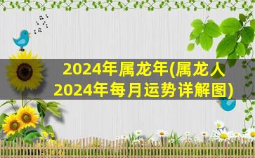 2024年属龙年(属龙人2024年每月运势详解图)