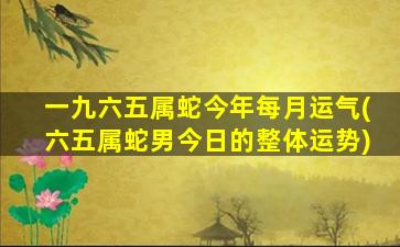 一九六五属蛇今年每月运气(六五属蛇男今日的整体运势)