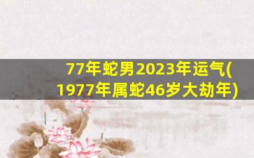 77年蛇男2023年运气(1977年属