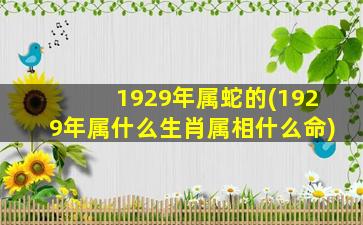 1929年属蛇的(1929年属什么生肖属相什么命)