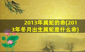 2013年属蛇的命(2013年冬月