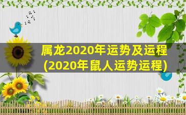 属龙2020年运势及运程(2020年鼠人运势运程)