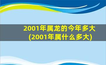 2001年属龙的今年多大(2001年属什么多大)