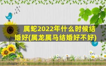 <strong>属蛇2022年什么时候结婚</strong>