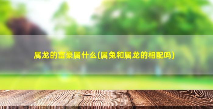 属龙的富豪属什么(属兔