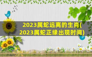 2023属蛇远离的生肖(2023属蛇正缘出现时间)