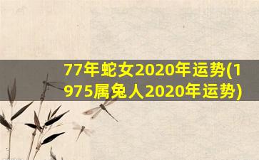 77年蛇女2020年运势(1975属兔人2020年运势)