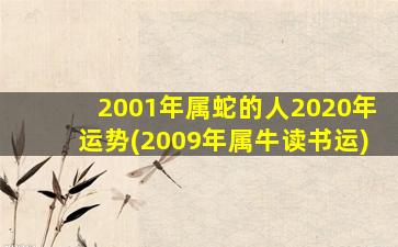 2001年属蛇的人2020年运势(2009年属牛读书运)