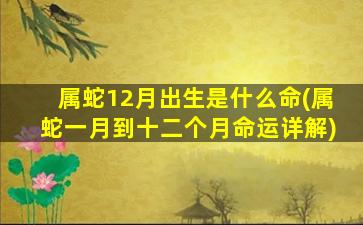 属蛇12月出生是什么命(属蛇一月到十二个月命运详解)