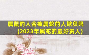 属鼠的人会被属蛇的人欺负吗(2023年属蛇的最好贵人)