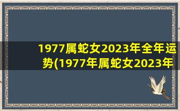 1977属蛇女2023年全年运势(1977年属蛇女2023年每月运势)