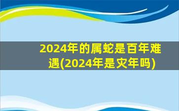 2024年的属蛇是百年难遇(2024年是灾年吗)