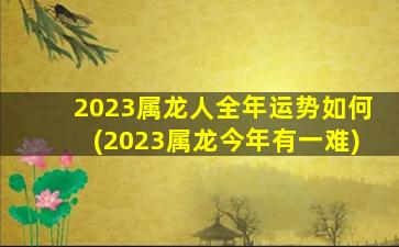 2023属龙人全年运势如何