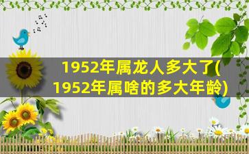 1952年属龙人多大了(1952年属啥的多大年龄)