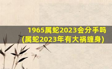 1965属蛇2023会分手吗(属蛇