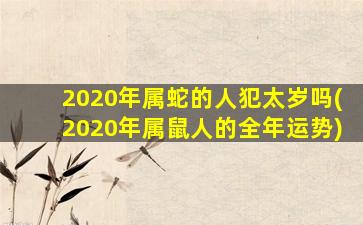 2020年属蛇的人犯太岁吗(2020年属鼠人的全年运势)