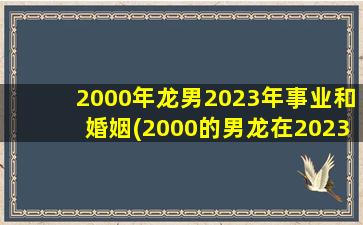 2000年龙男2023年事业和婚姻(2000的男龙在2023姻缘动了吗)