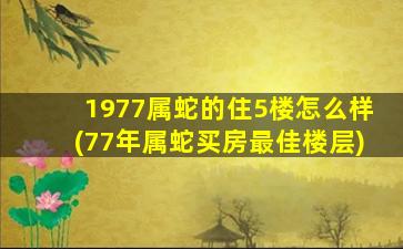 1977属蛇的住5楼怎么样(77年属蛇买房最佳楼层)